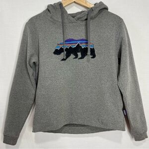 Patagonia Worn Wear Fitz Roy Bear Uprisal Hoody - XS